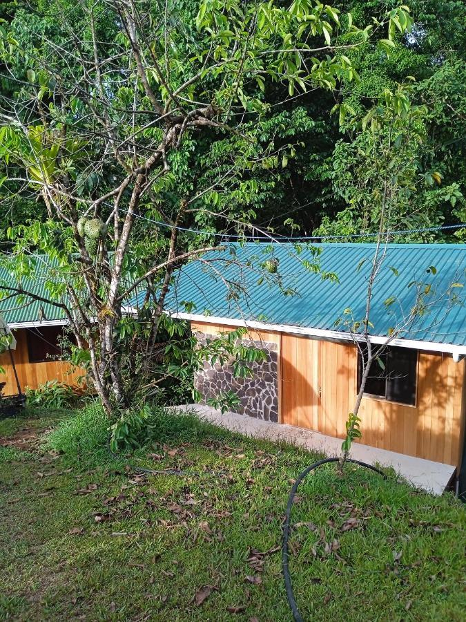 Cabanas Bajo Bosque Drake Drakes Bay Eksteriør bilde